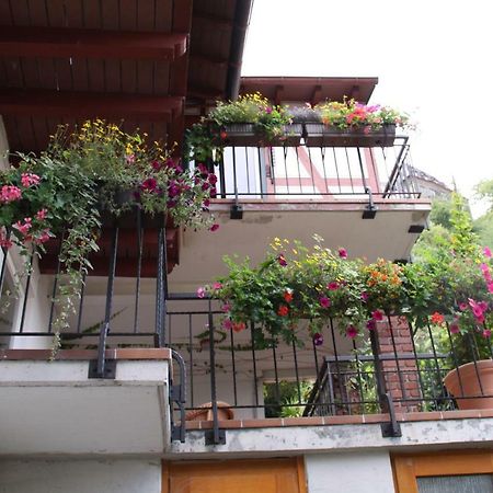 Ferienwohnung Feldhege Bacharach Kültér fotó