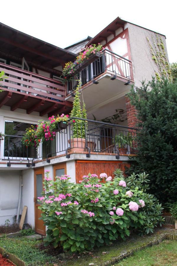 Ferienwohnung Feldhege Bacharach Kültér fotó